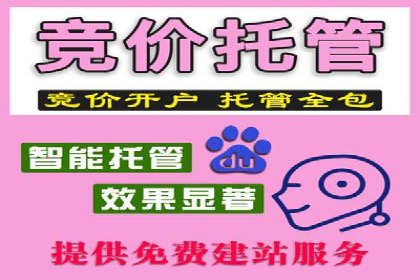 百度SEO推广策略案例：一家公司的成功转型之路